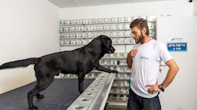 חברת דיאגנוז, צילום: איתן ברנט